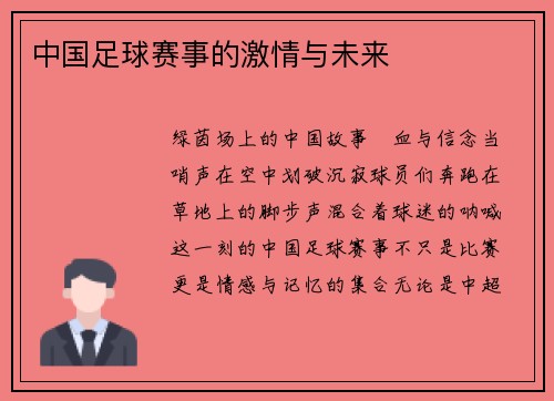 中国足球赛事的激情与未来